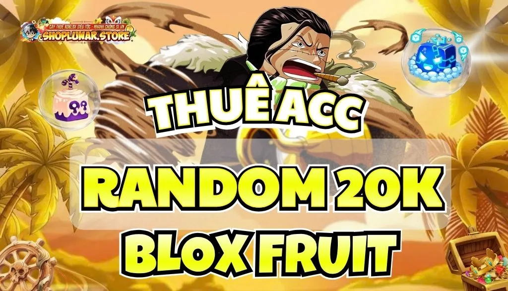 ACC RANDOM 20K